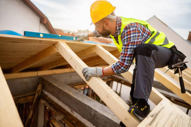 Best Roof Maintenance Services  in Bradley, IL