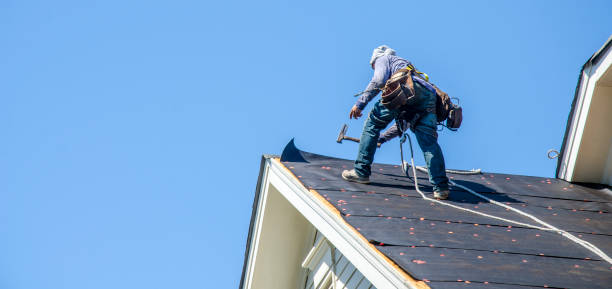 Best Roof Gutter Cleaning  in Bradley, IL